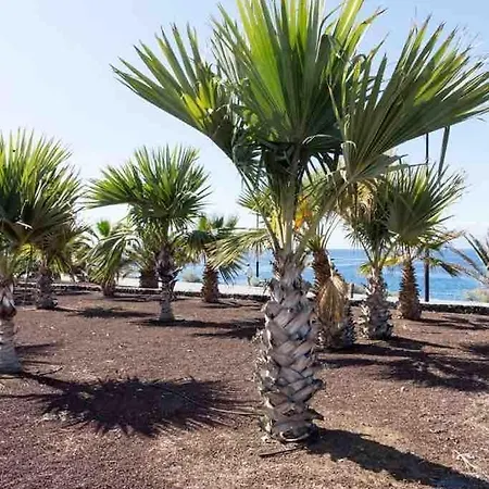 Lägenhet Alcala Center Tenerife Canarias Guía de Isora