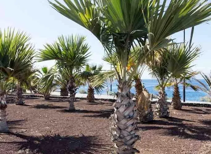 Apartman Alcala Center Tenerife Canarias Guía de Isora