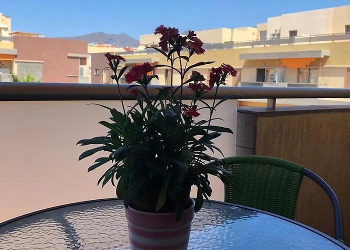 Alcalá Center Tenerife Canarias *